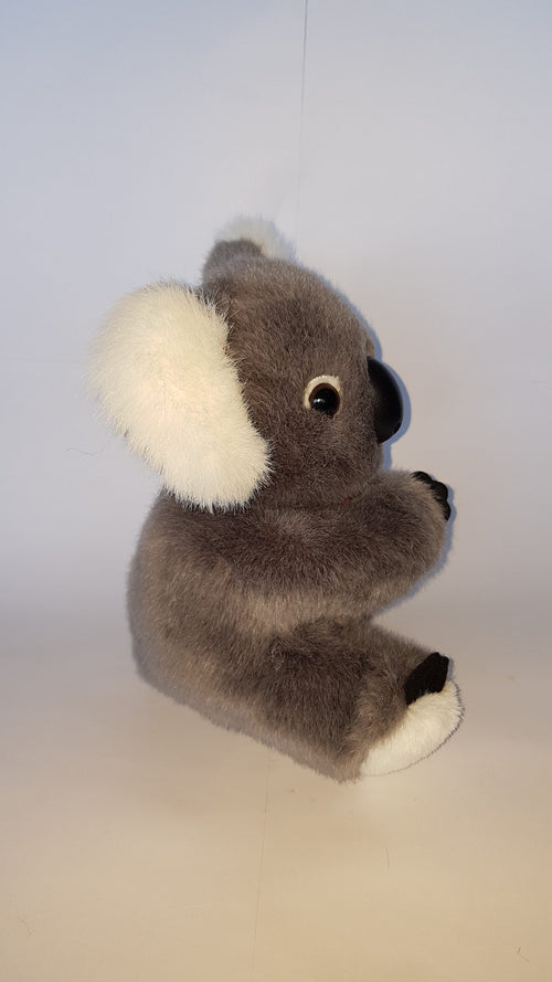 101 Koala 7″