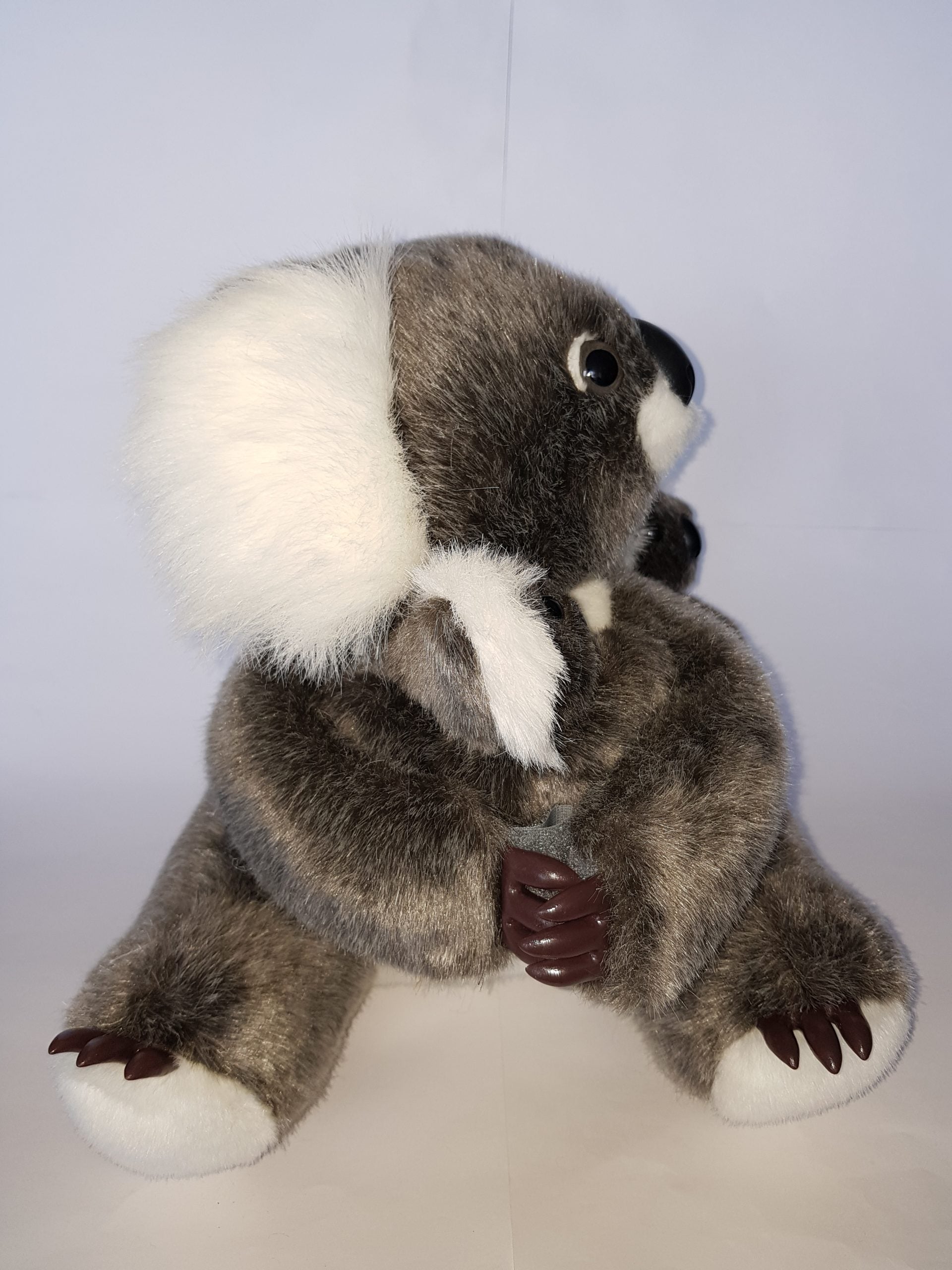 121 Triple Koala 13″