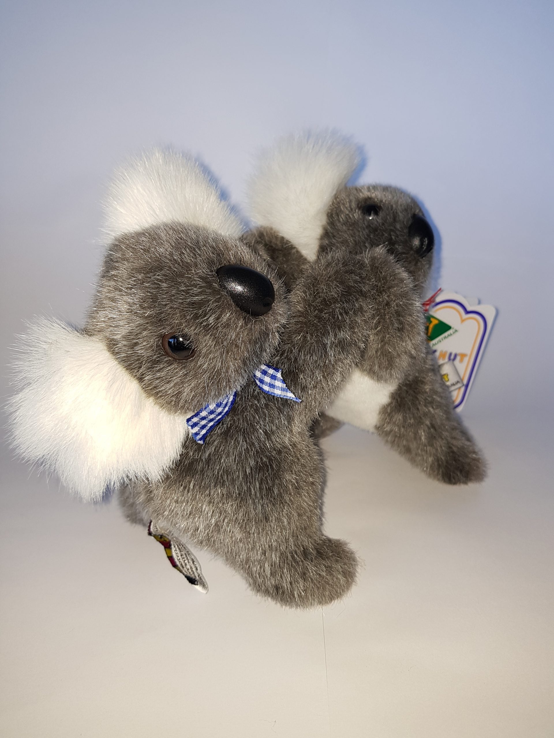 144 Twin Koala 7″