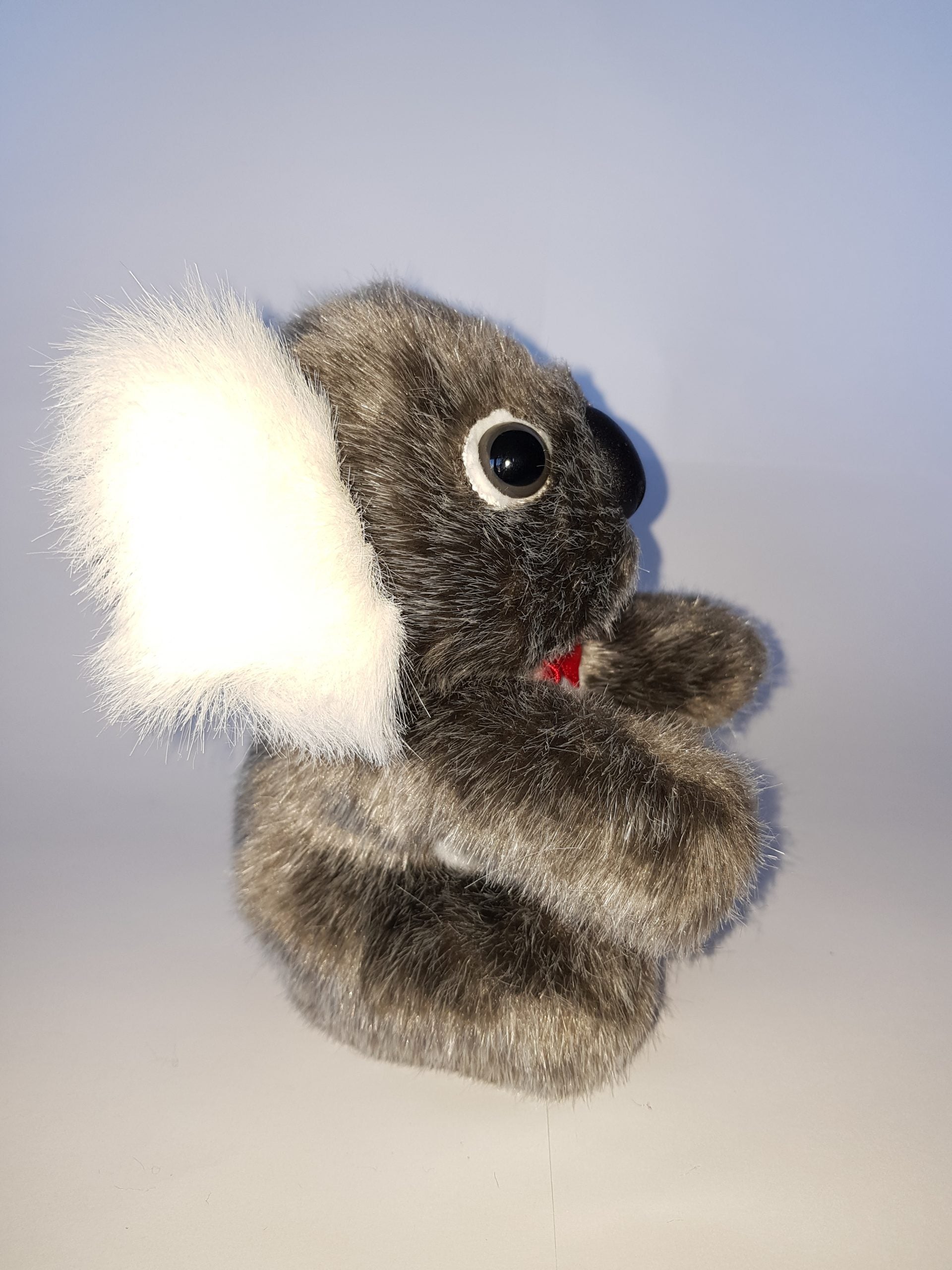 148 Koala 6″