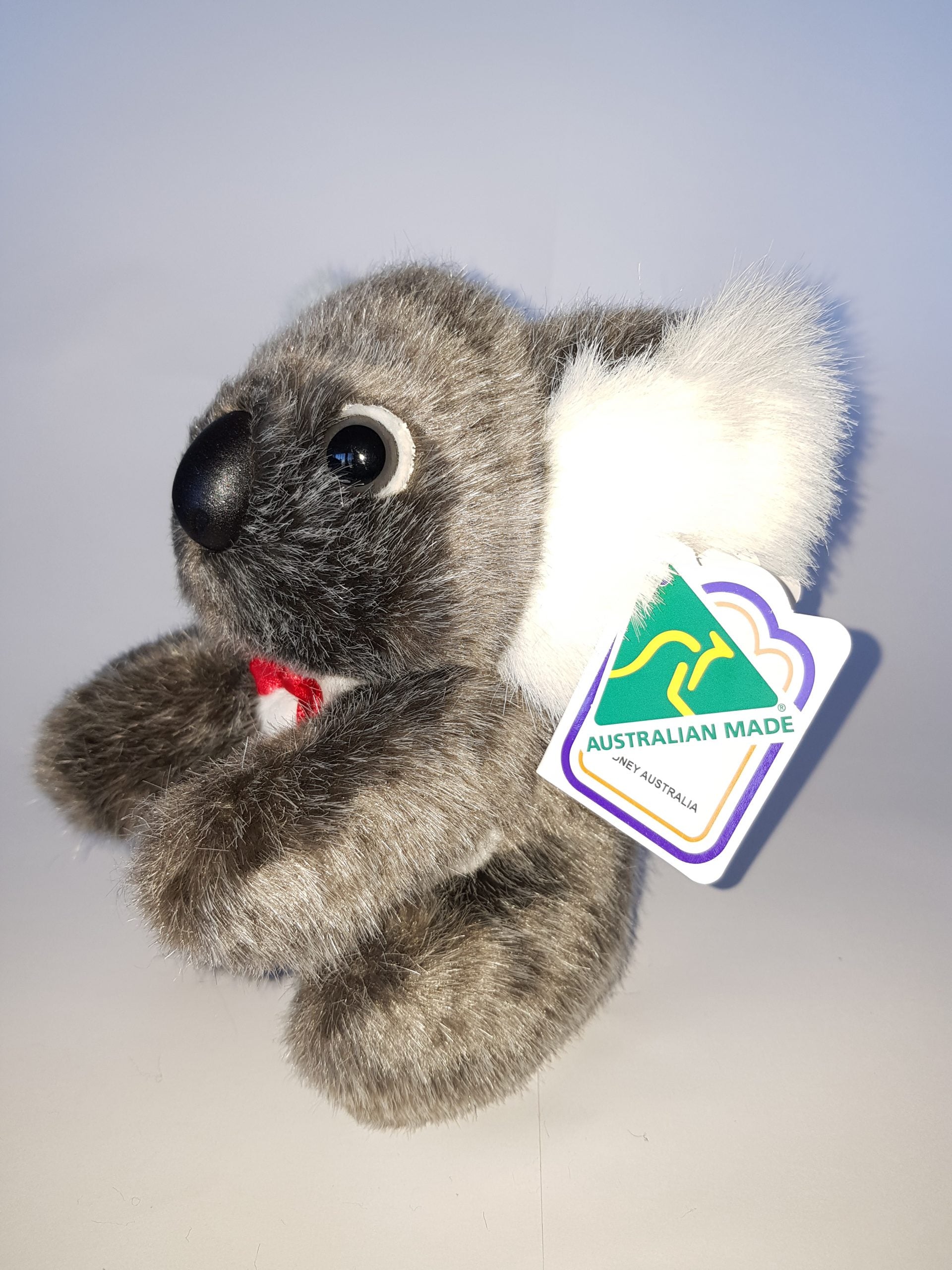 148 Koala 6″