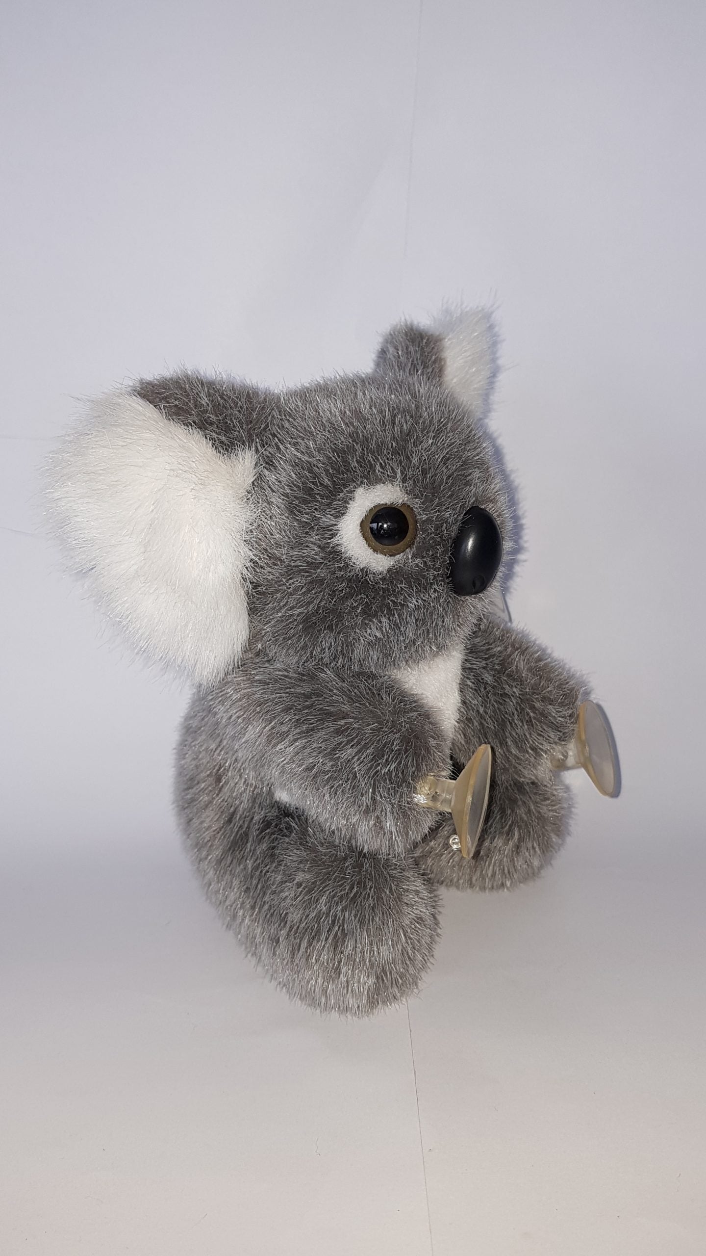 152 Koala 6″ & suction