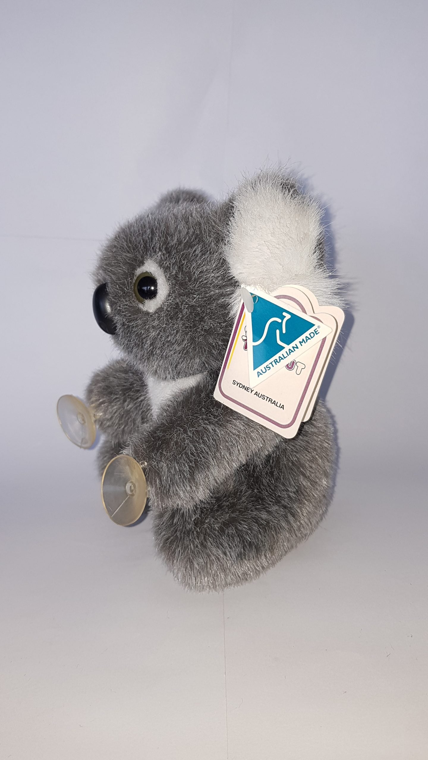 152 Koala 6″ & suction