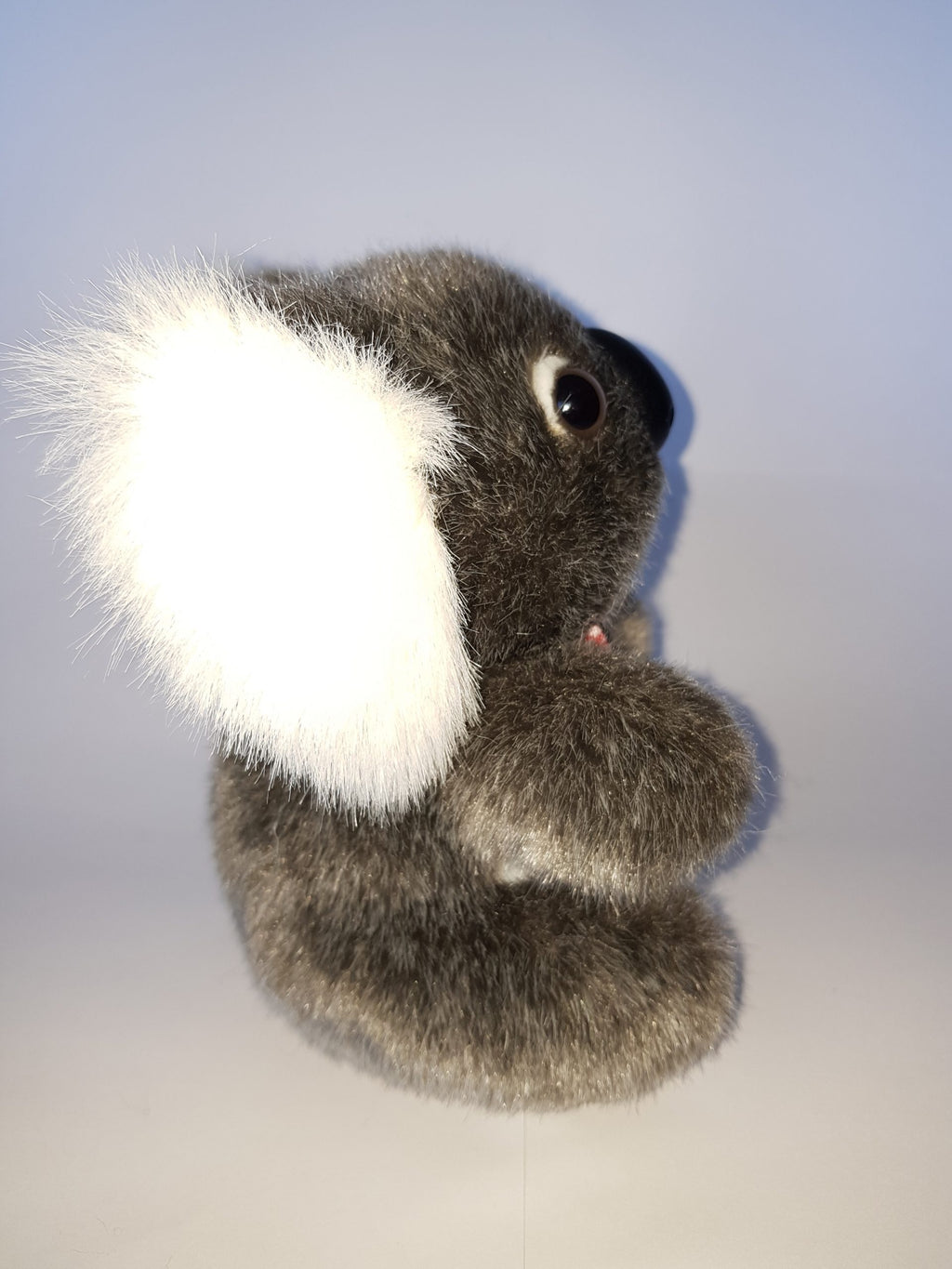 153 Koala 7″ with ribbon