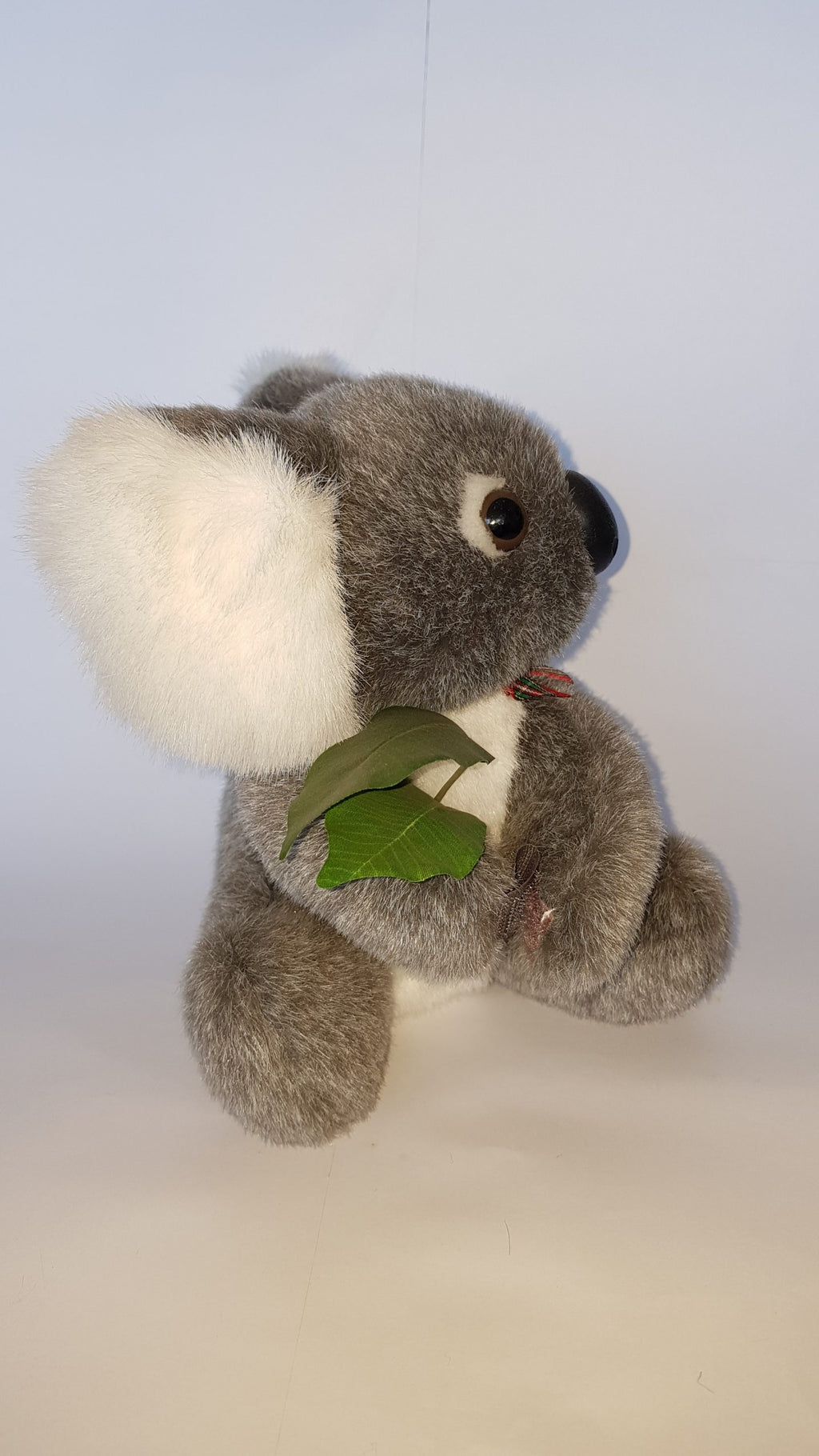 164 Koala 8″ & gumleaf