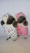 169 Sleeping Koala 13″