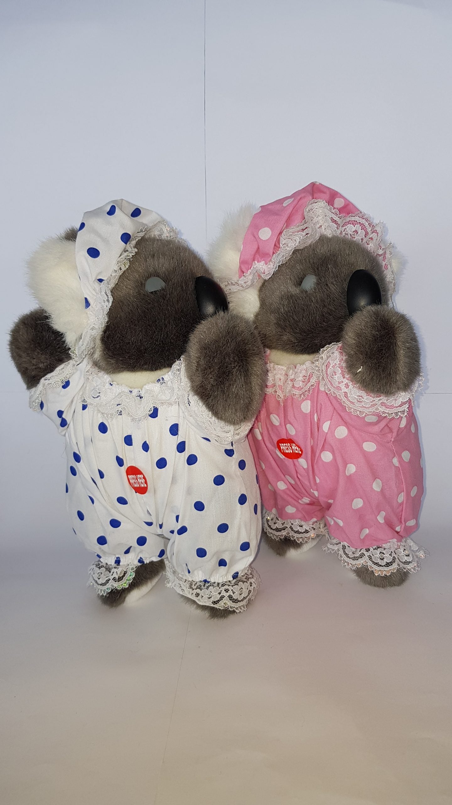 169 Sleeping Koala 13″