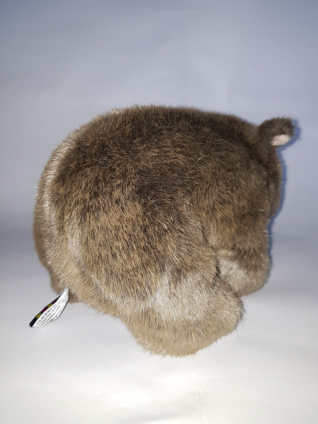301 Wombat 8″