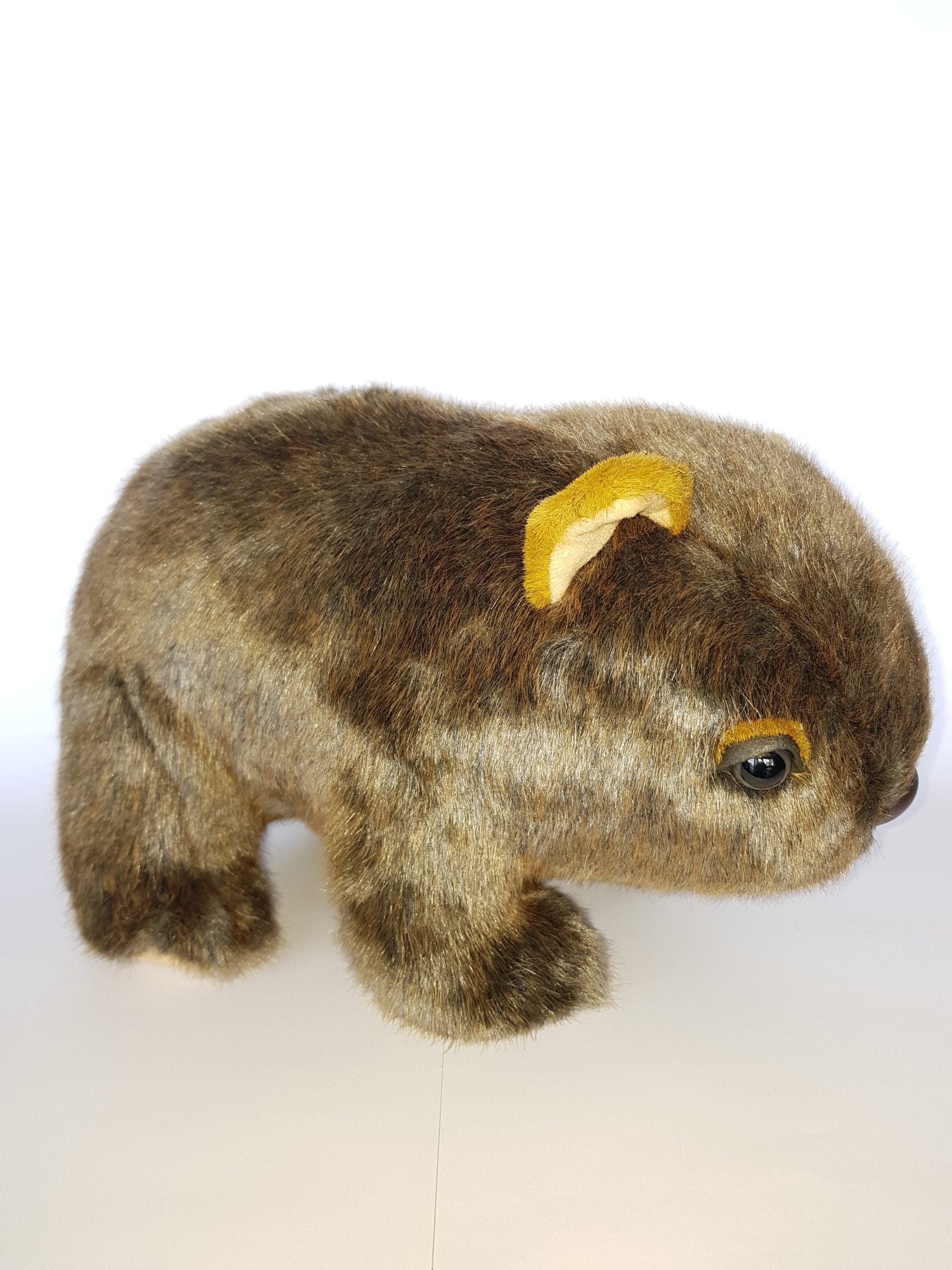 303 Wombat 12″