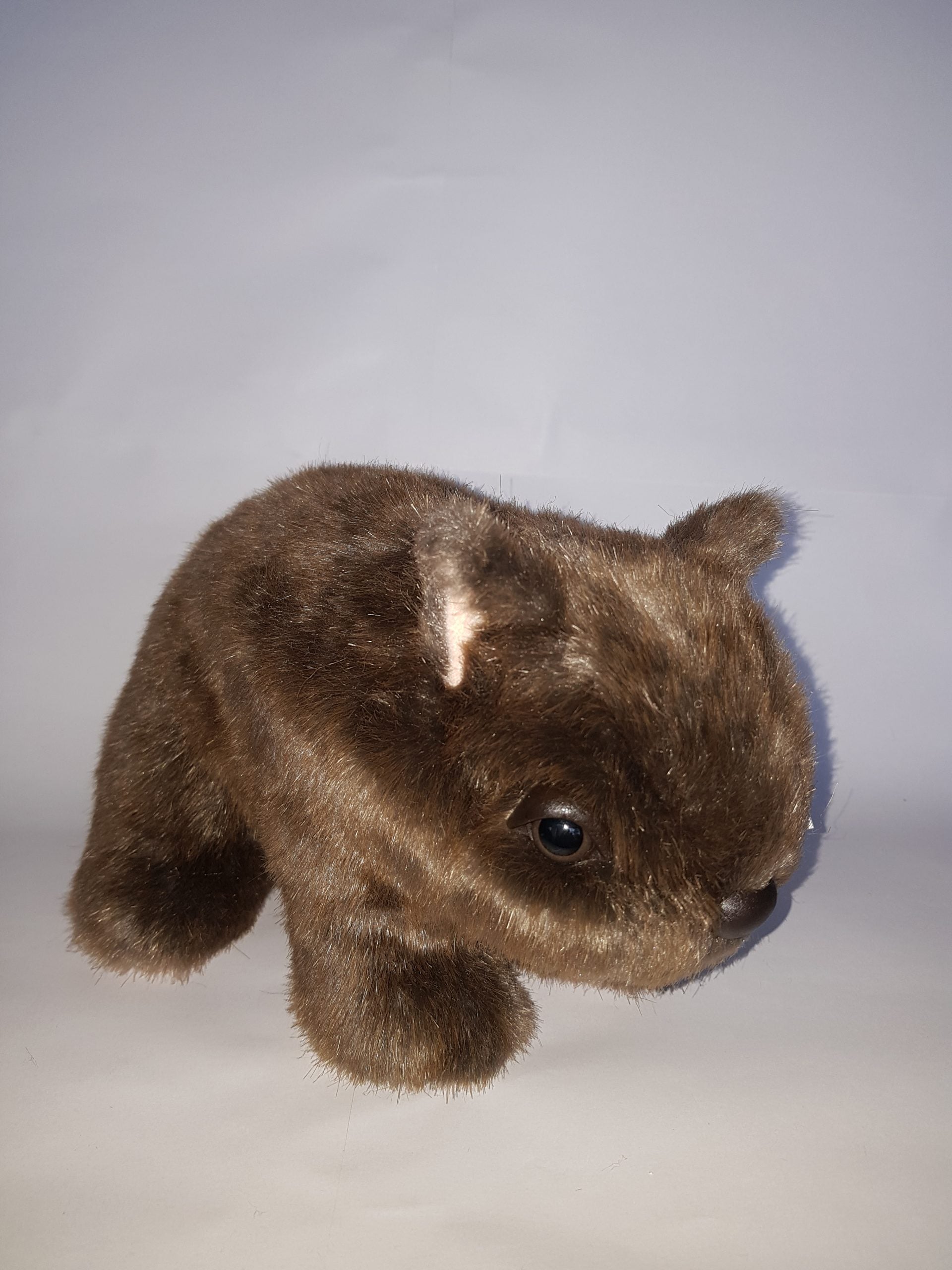 304 Wombat 10″