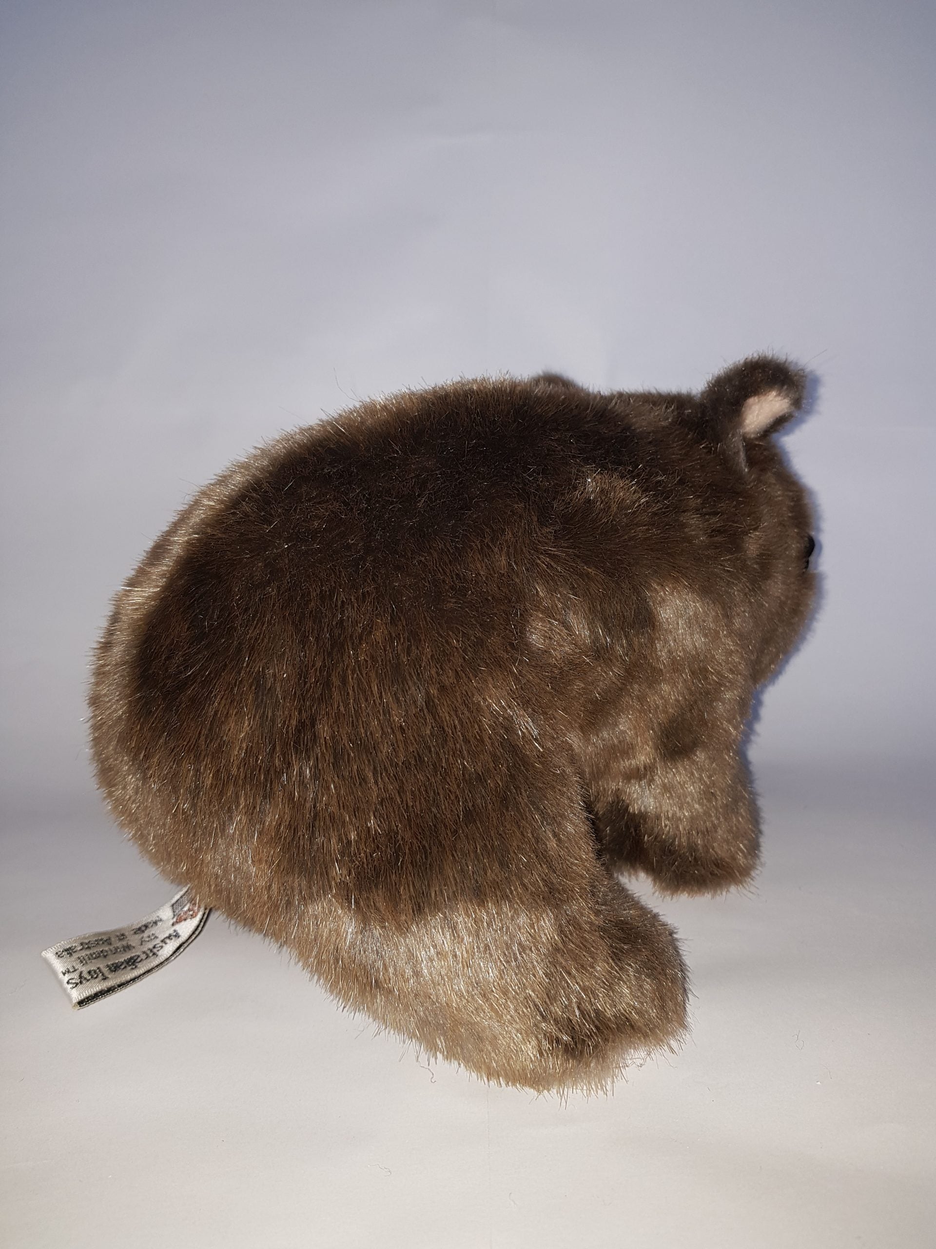 304 Wombat 10″