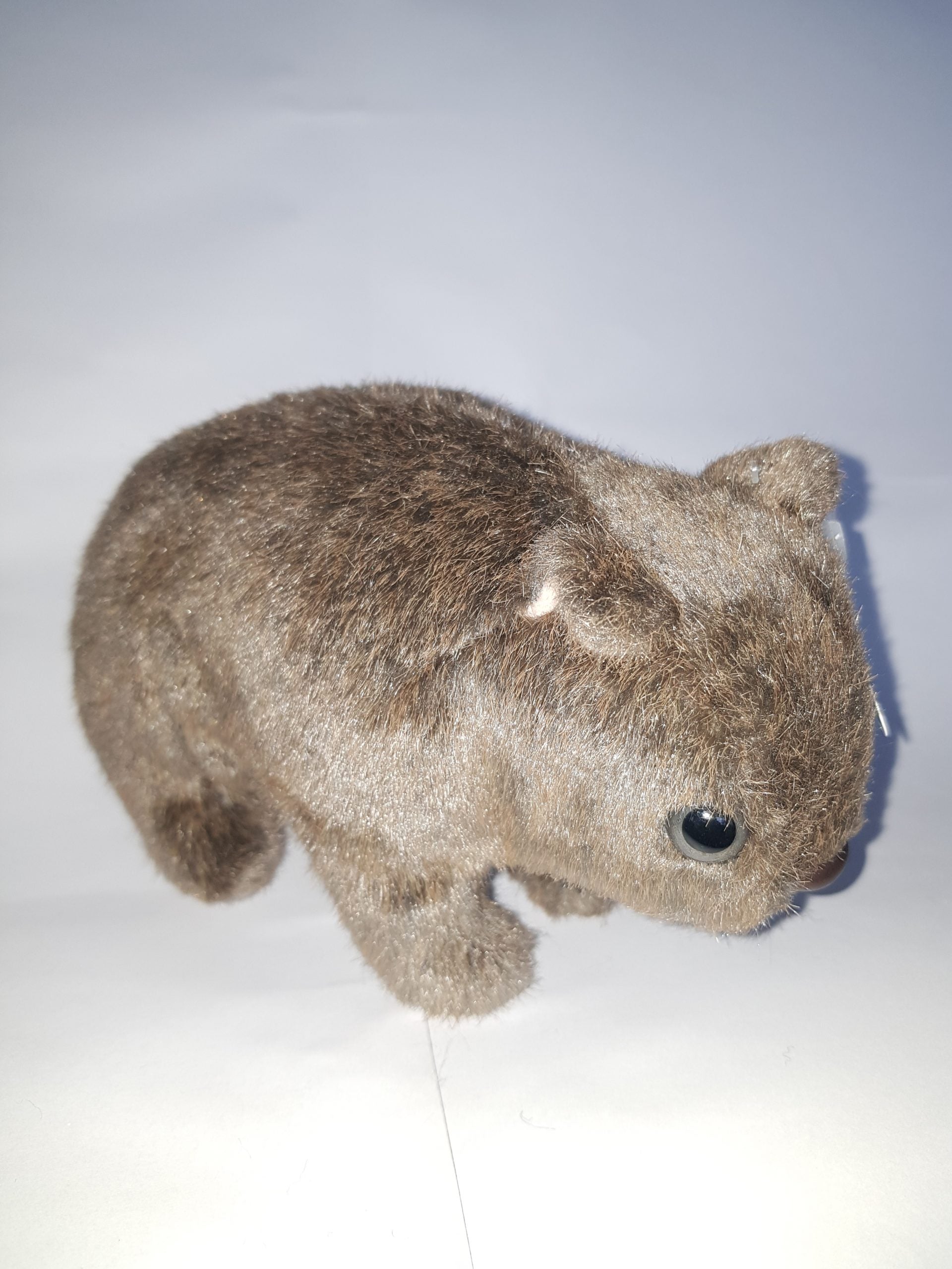 306 Wombat 6″