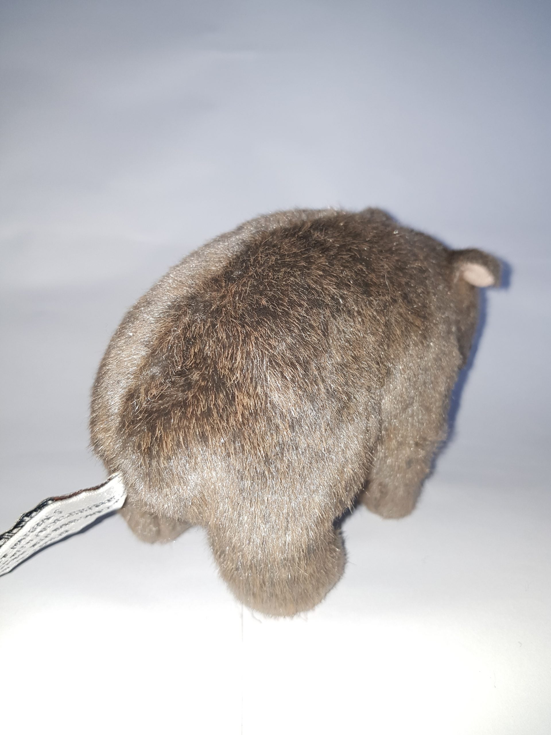 306 Wombat 6″