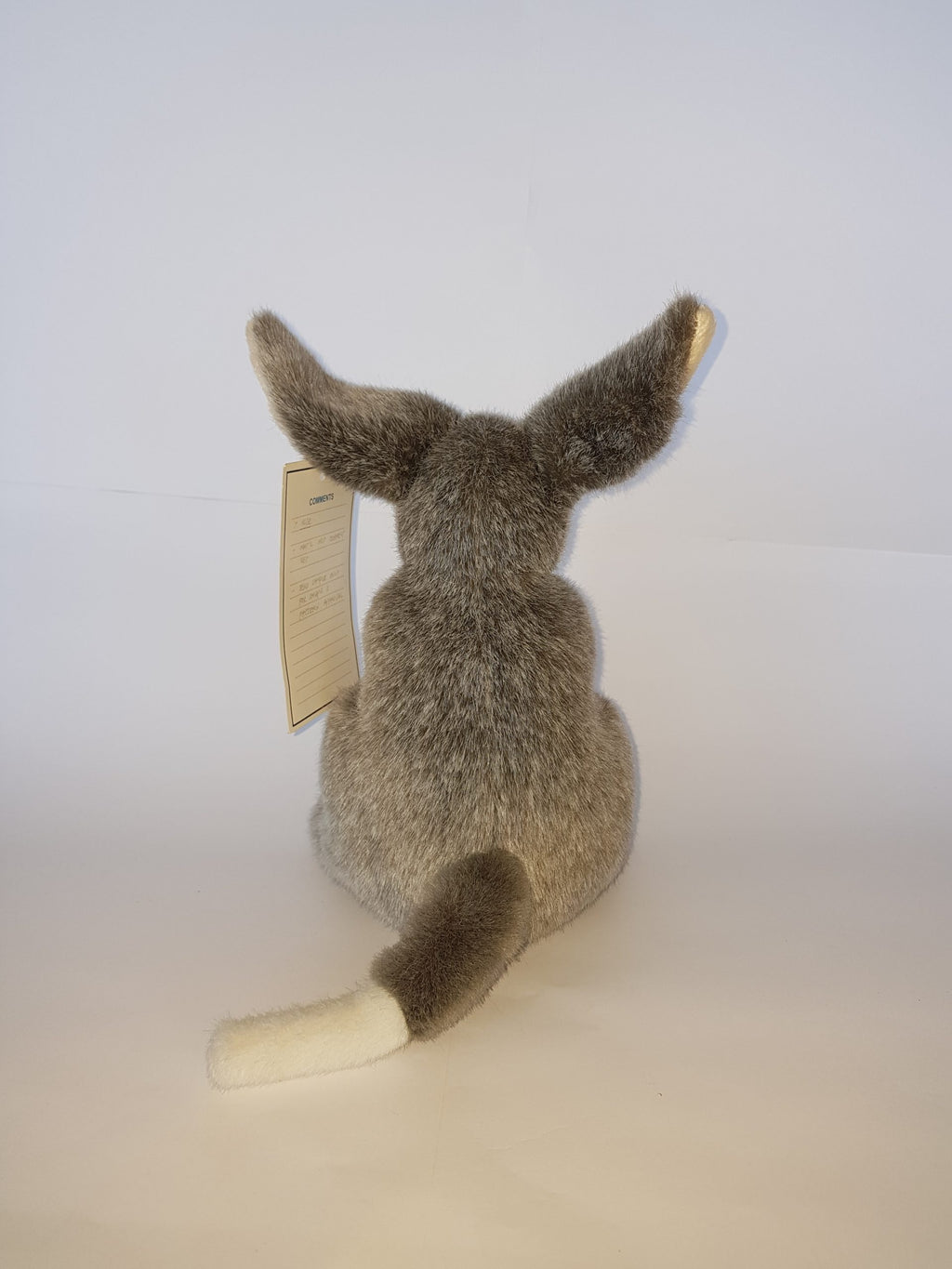 33-2010 BILBY SITTING 10"