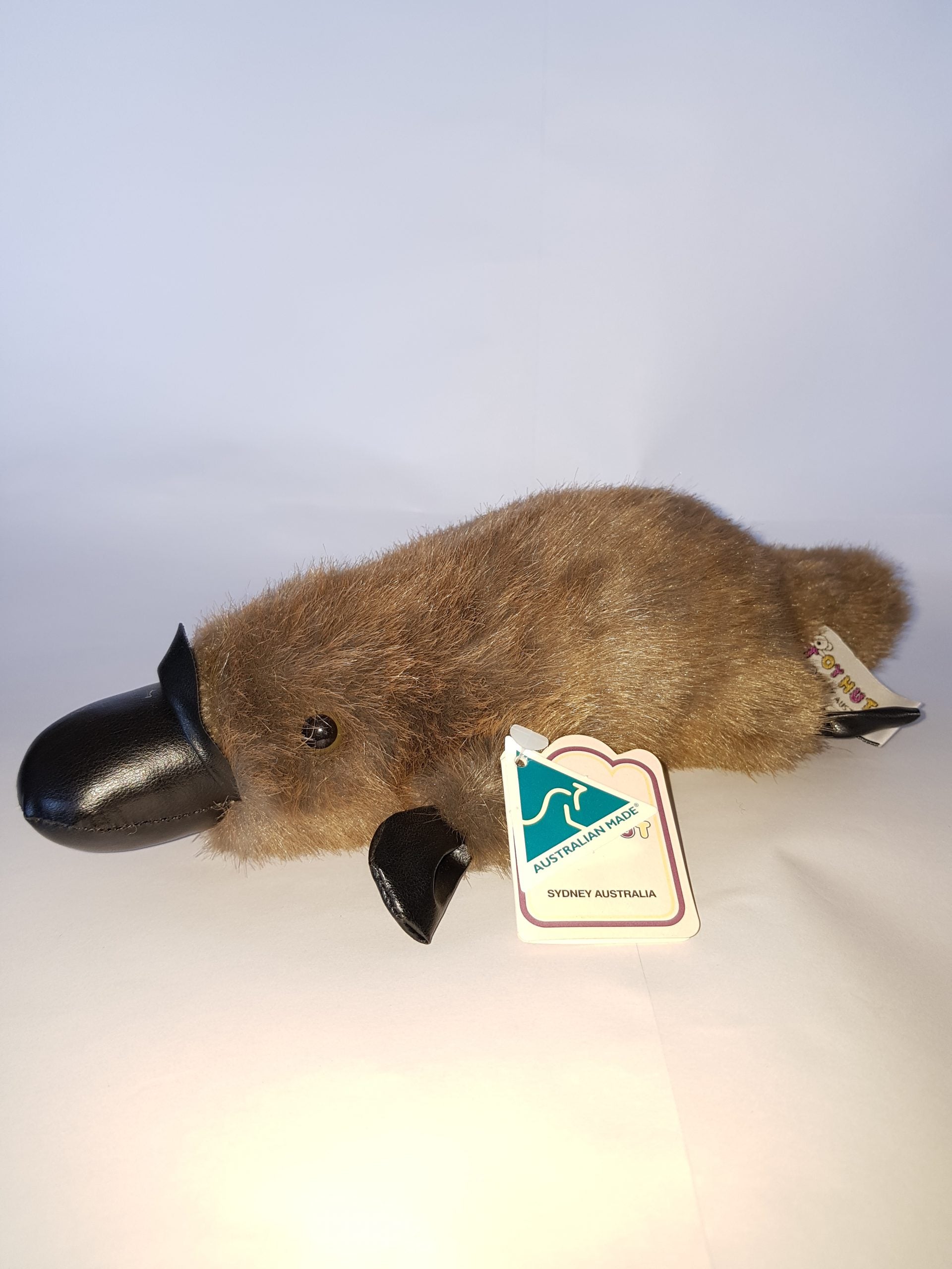 401 Platypus 11″