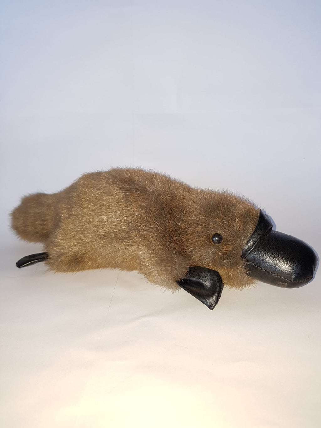 401 Platypus 11″
