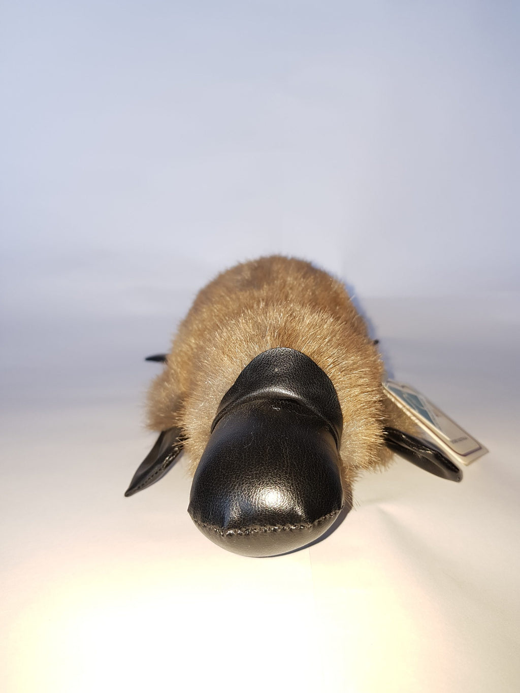 401 Platypus 11″