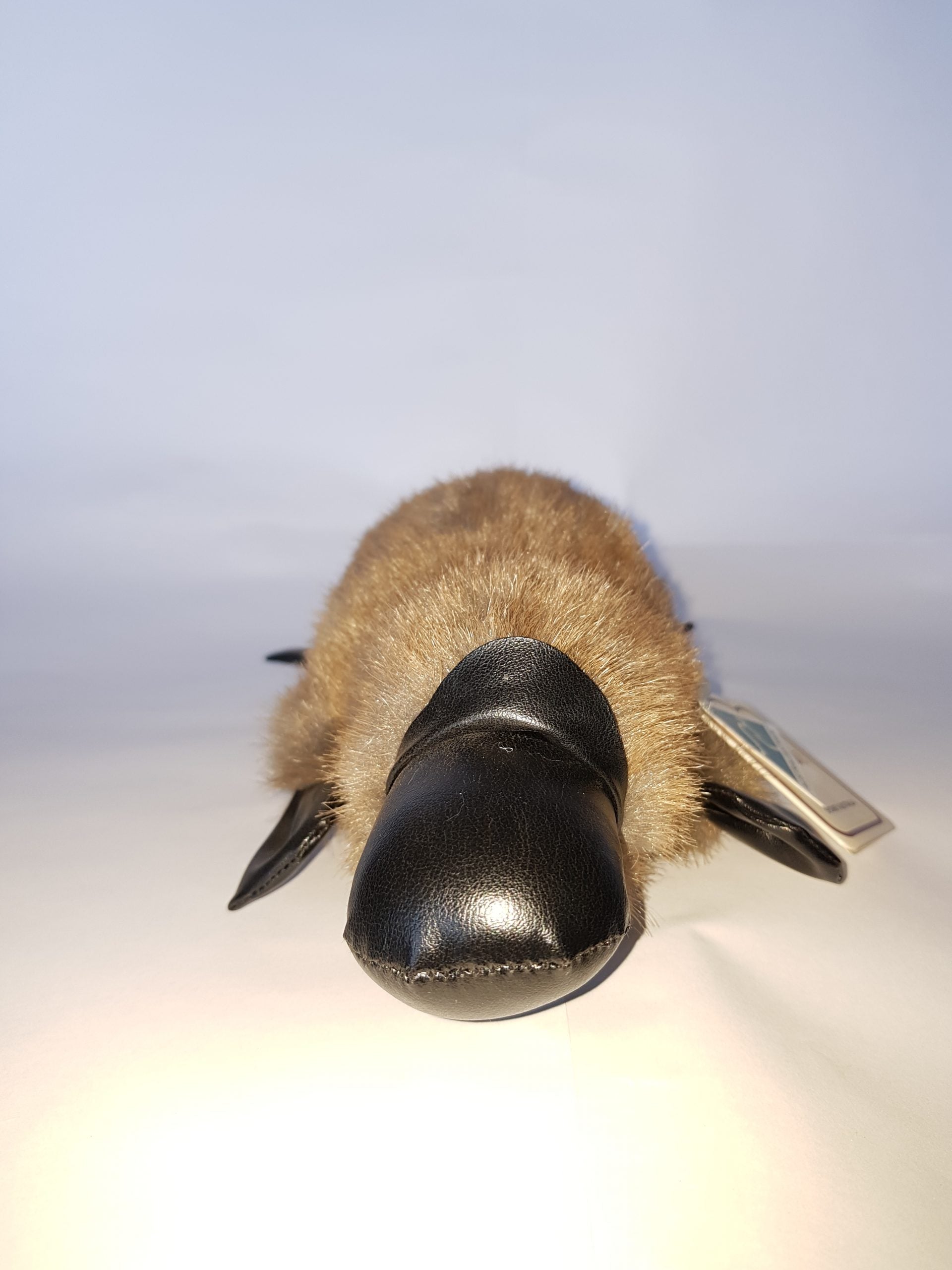 401 Platypus 11″