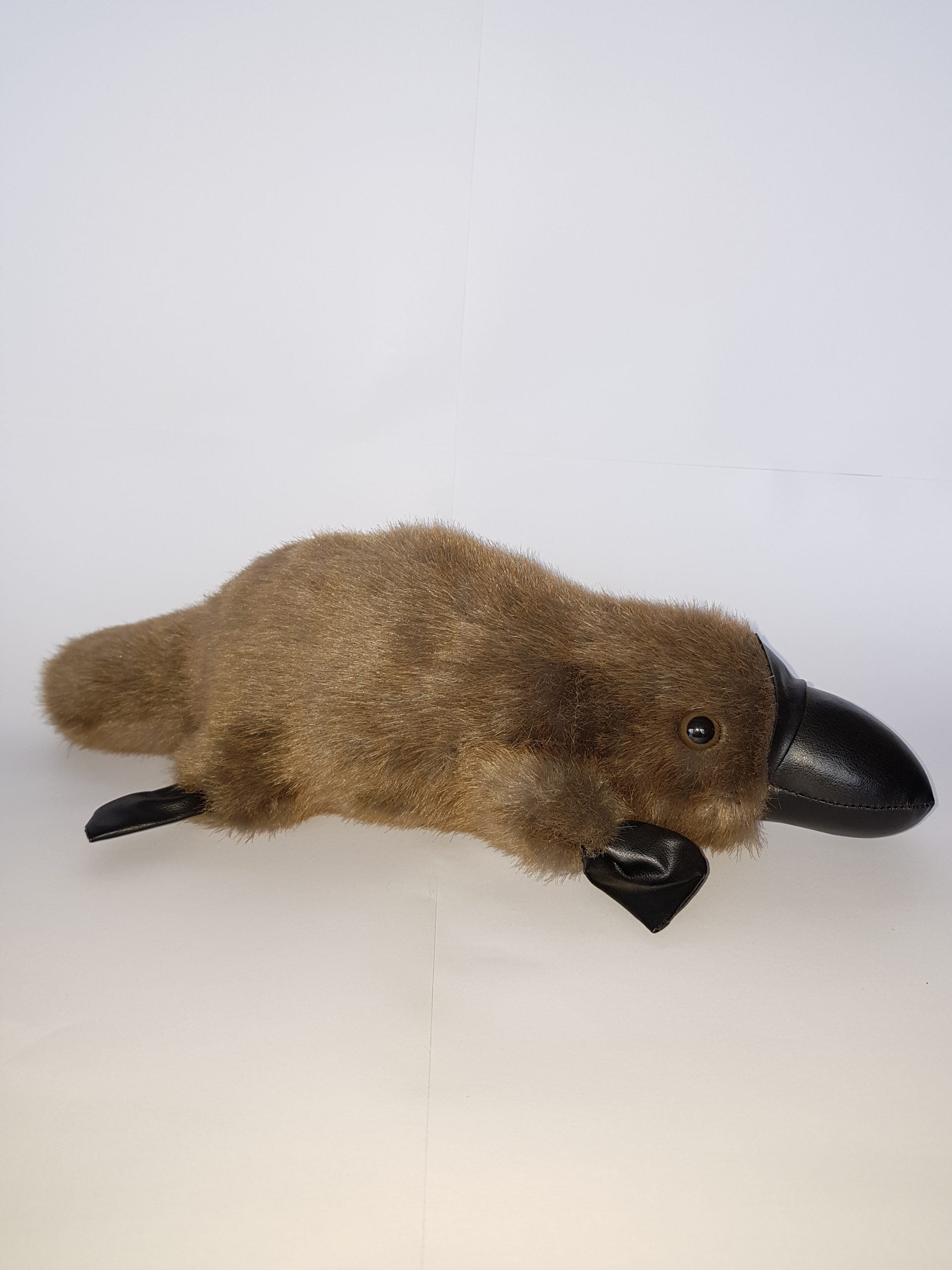 402 Platypus 15″