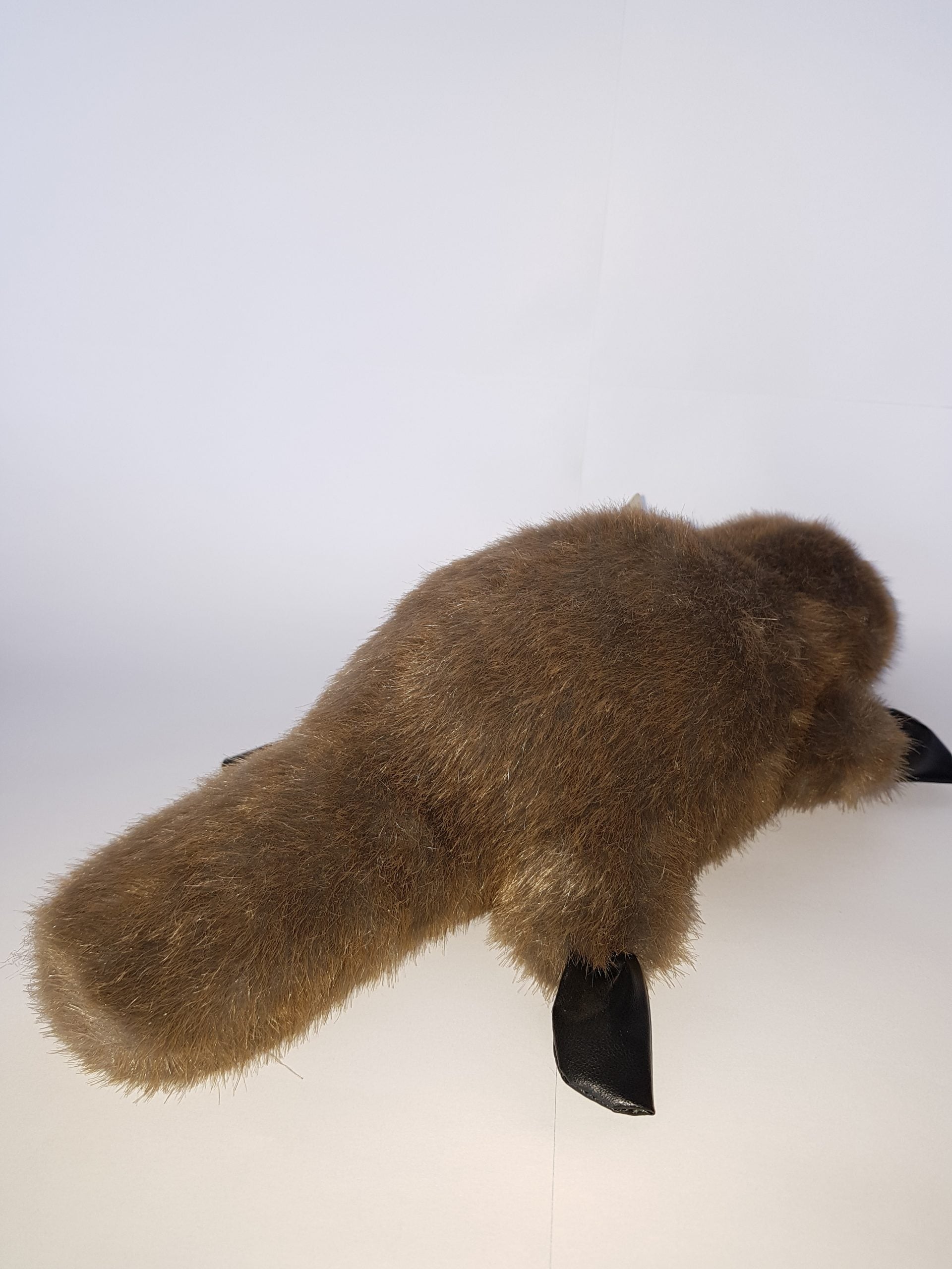 402 Platypus 15″